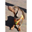 Nayeco X-TRM Neo Amarelo Peitoral para cães, , large Indicador imagem número 3